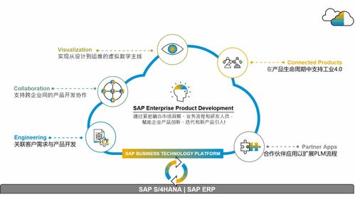 SAP供應鏈云三套產品落地中國，官方培訓課程助您操作無憂，管理高效